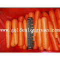 Neue Crop Fresh Carrot wird von der Fabrik geliefert